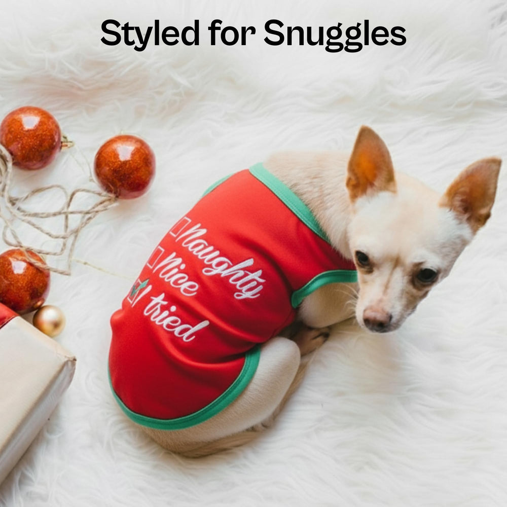 Parisian Pet dog christmas tee outdoors demonstrates versatile wear for walks and play.