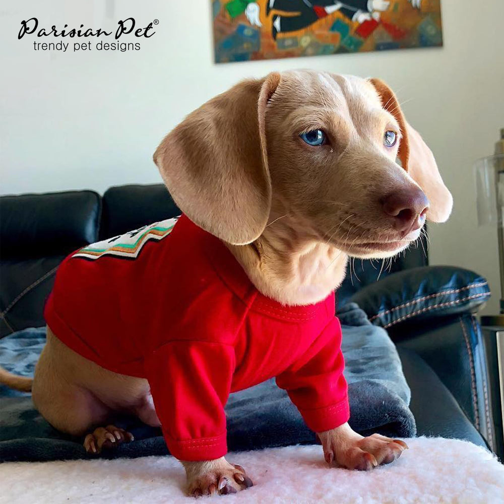 Parisian Pet dog costume ready for Halloween and parties.
