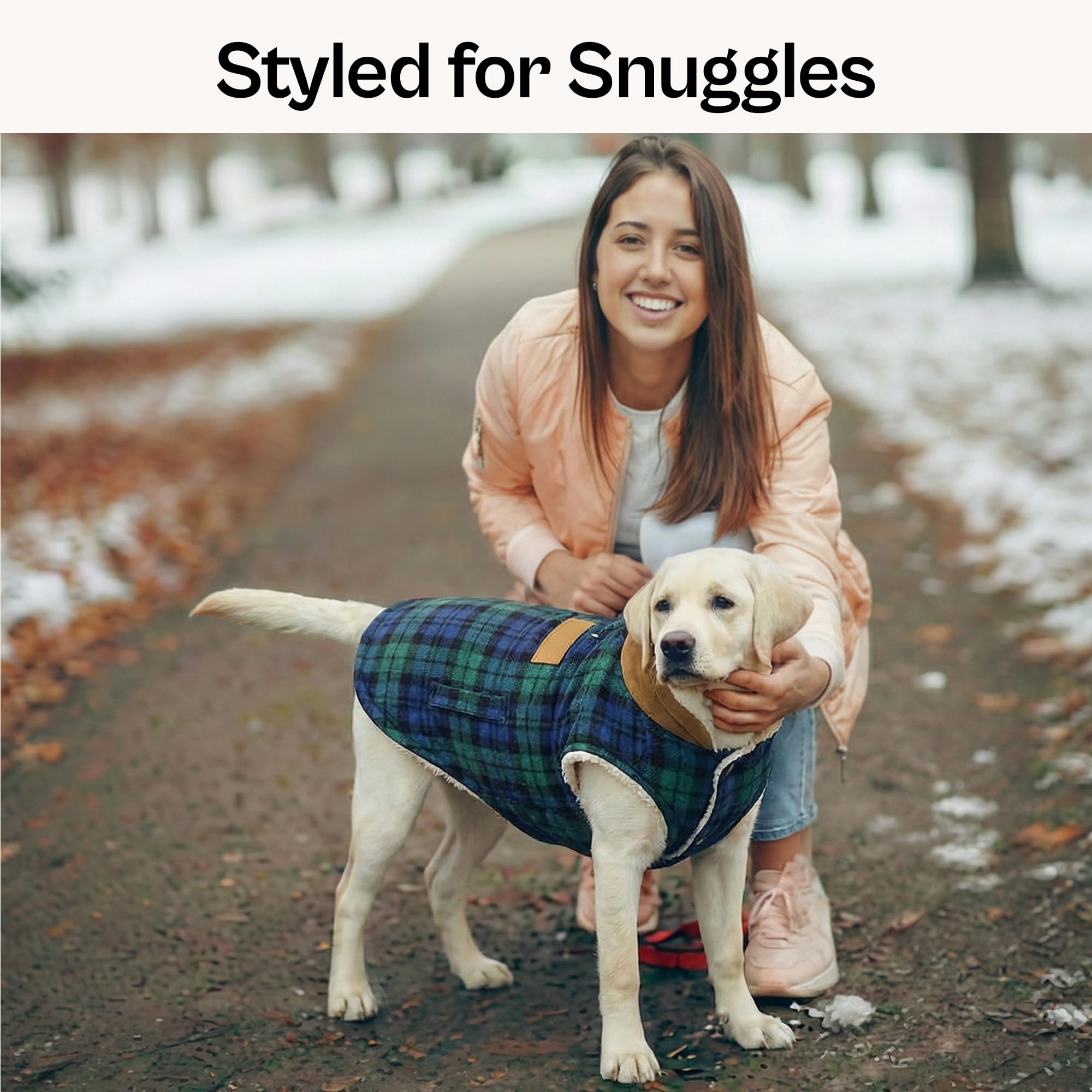 Parisian Pet dog jacket on walk promoting unrestricted movement
