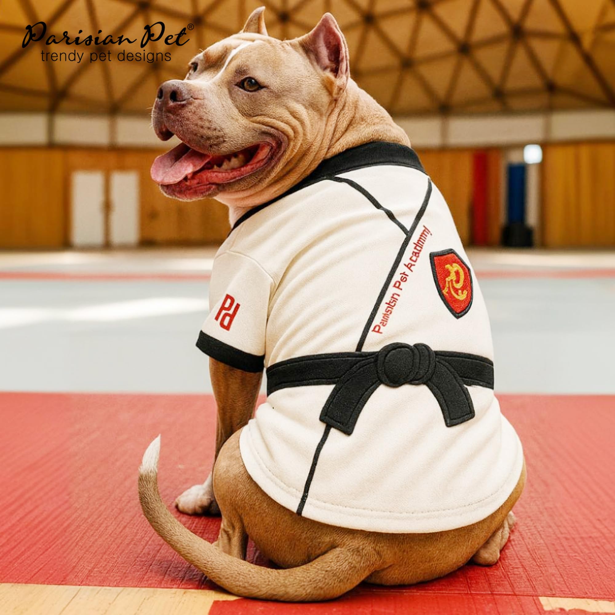 Parisian Pet dog karate academy shirt size chart illustrates accurate measurements for a confident fit.