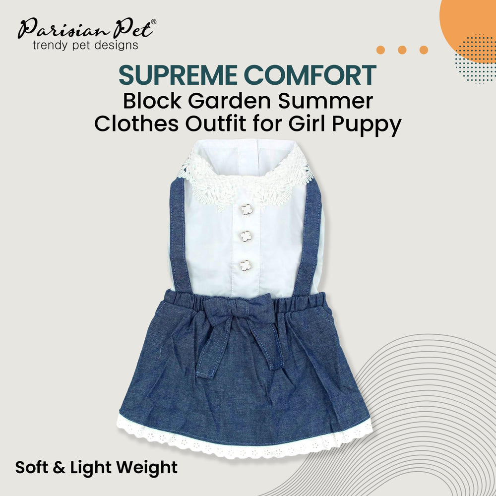 Parisian Pet Chambray dog dress with lace and buttons for chic summer outings