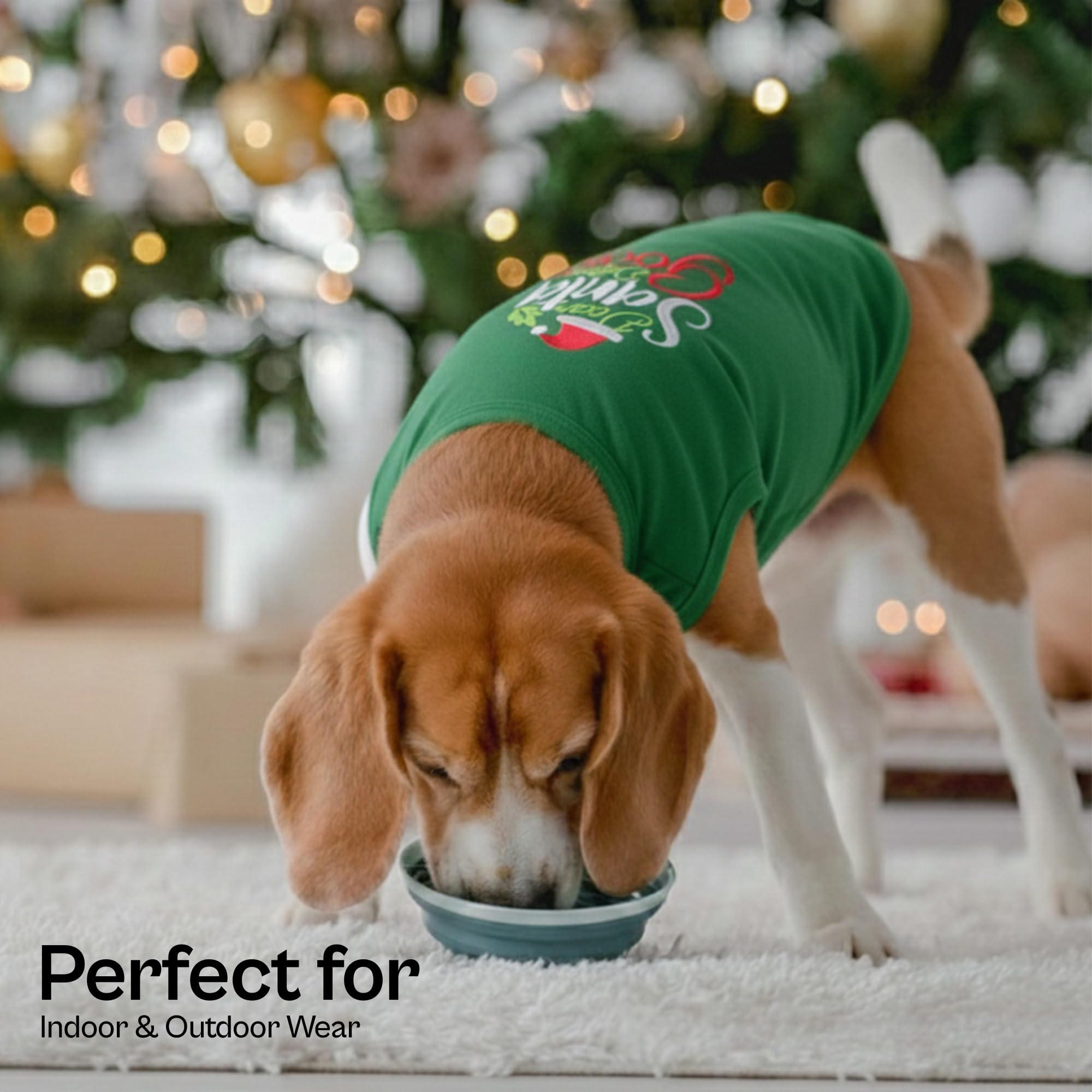 Parisian Pet dog shirt close-up highlights durable stitching