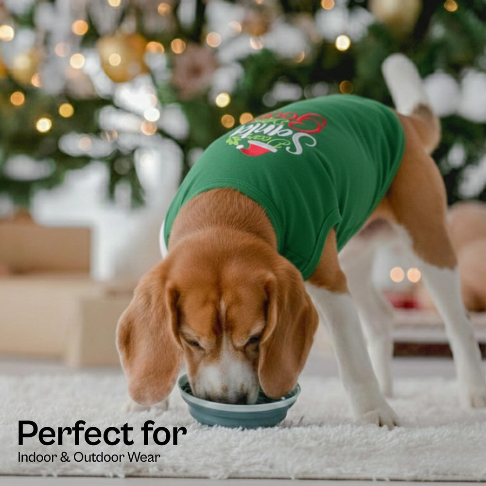 Parisian Pet dog shirt close-up highlights durable stitching