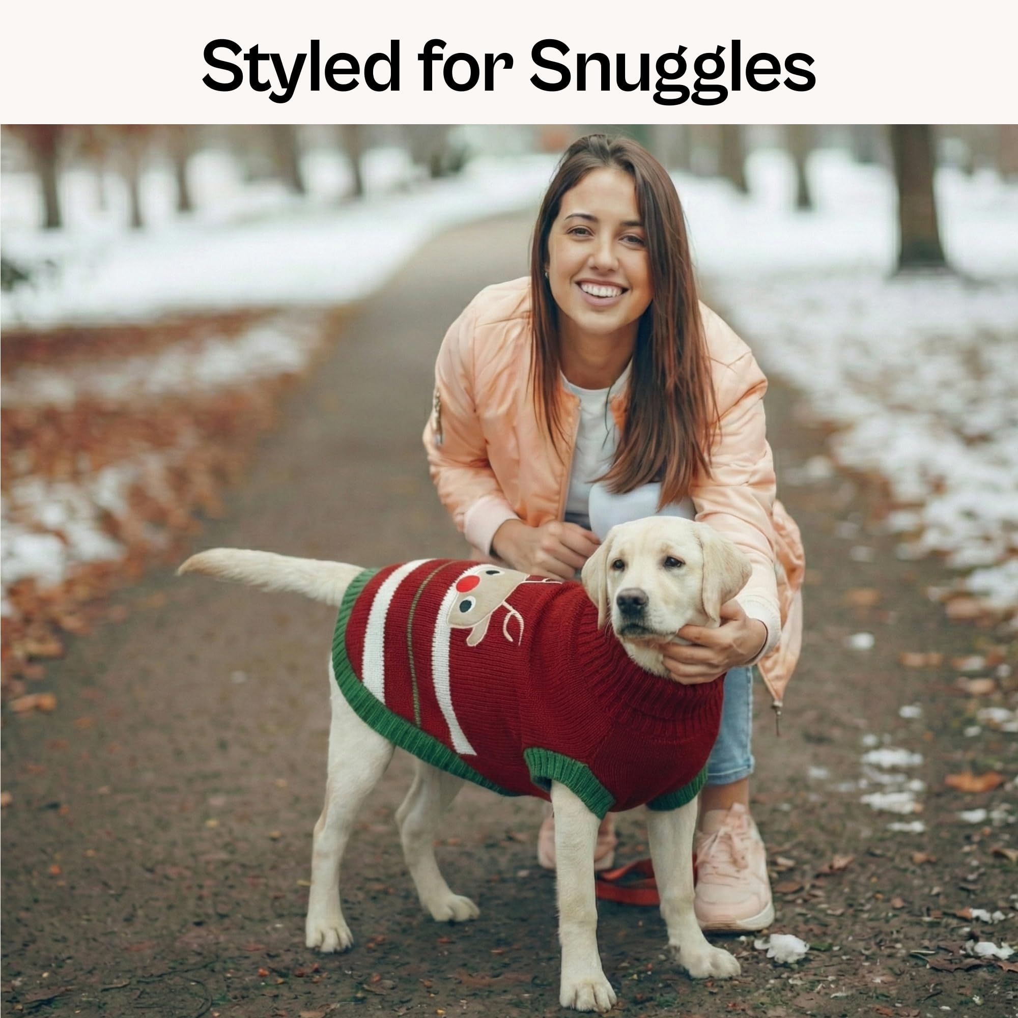 Parisian Pet dog sweater ideal for holiday events, travel, and everyday wear.