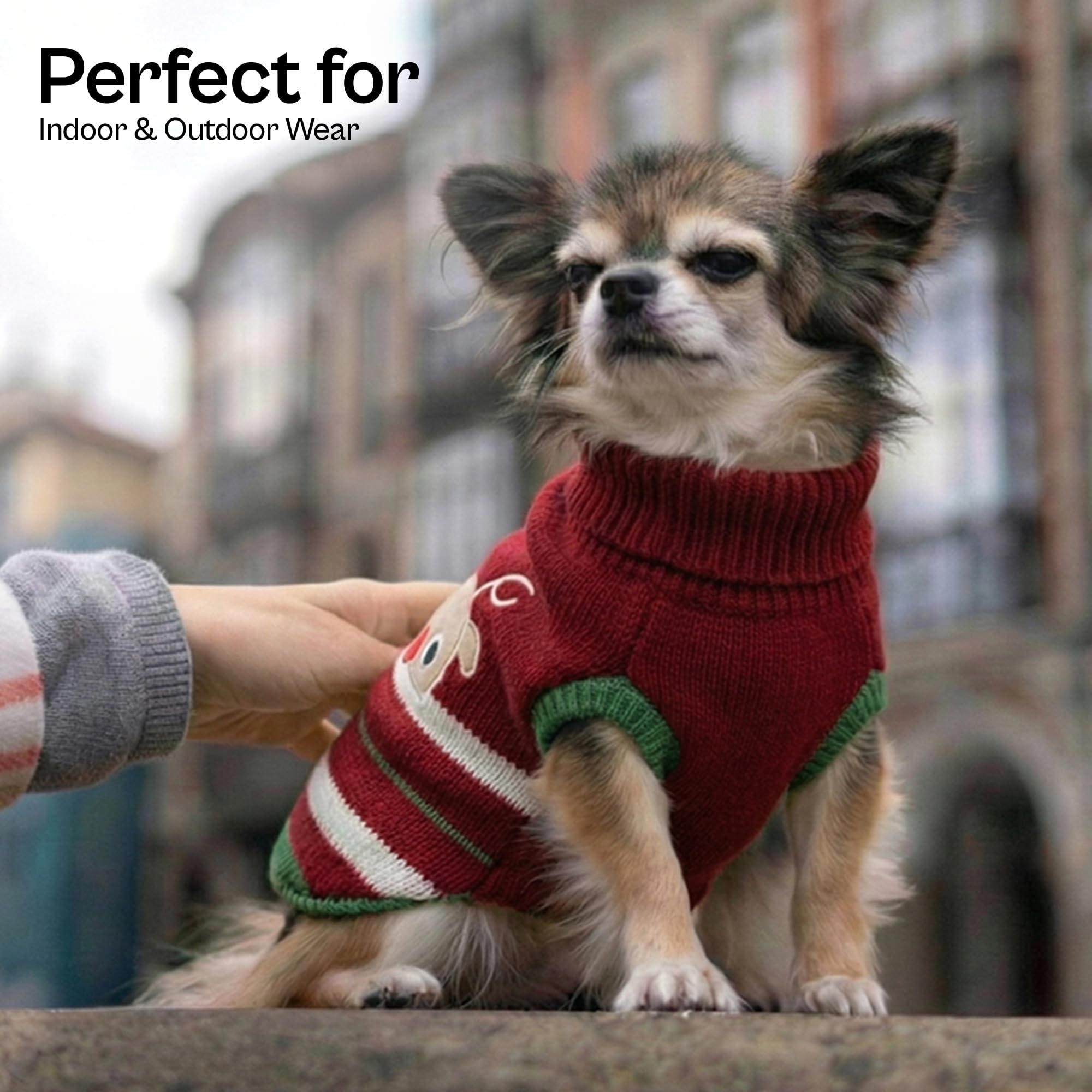 Parisian Pet knit dog sweater with turtleneck adds wind resistance and timeless elegance.