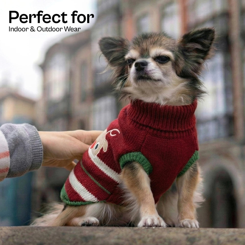 Parisian Pet knit dog sweater with turtleneck adds wind resistance and timeless elegance.