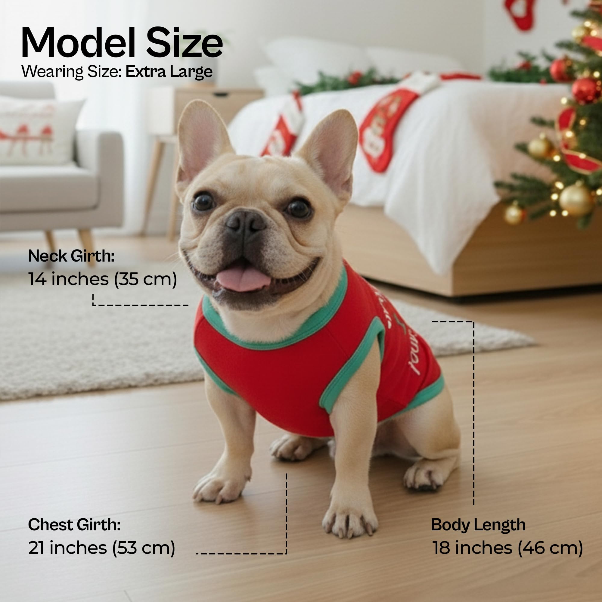 Parisian Pet christmas outfit on dog walk emphasizes versatile holiday wear