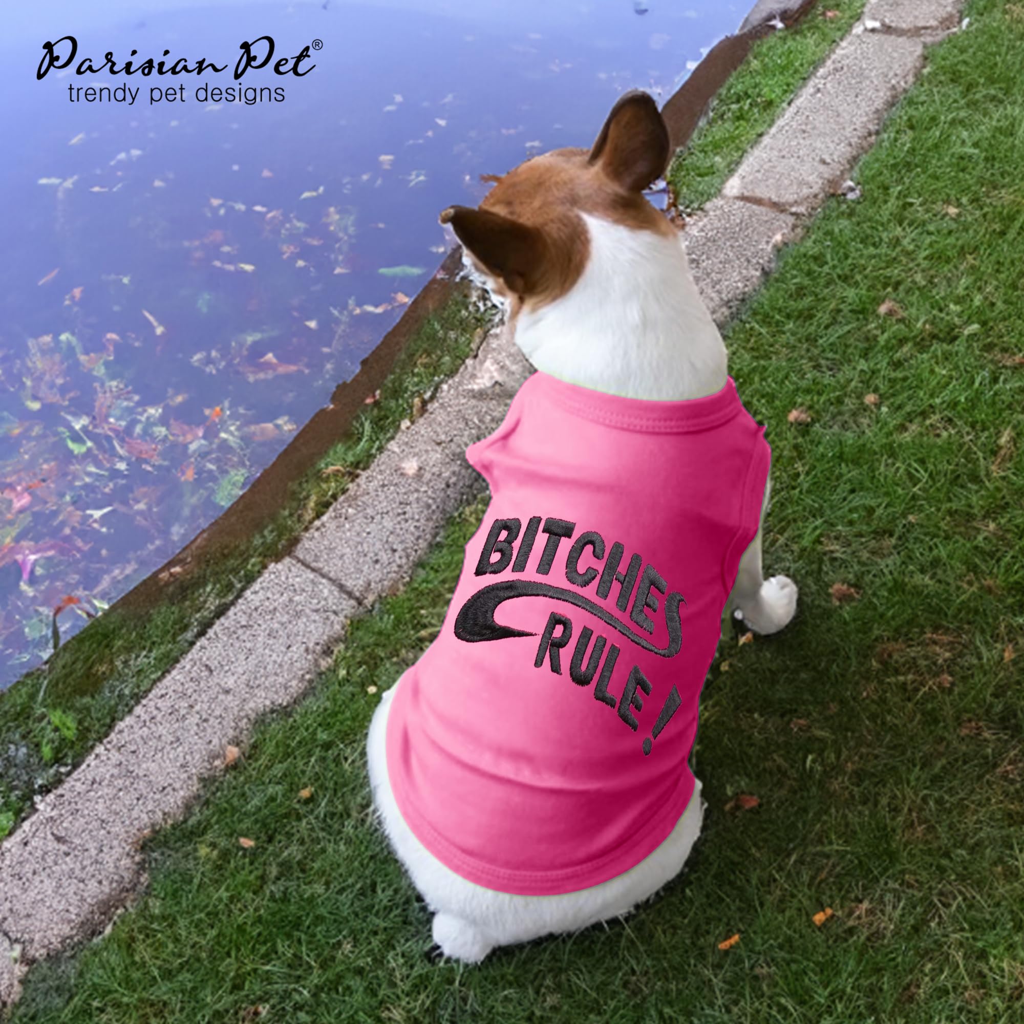 Parisian Pet dog tshirt shows durable stitching for long-lasting use.