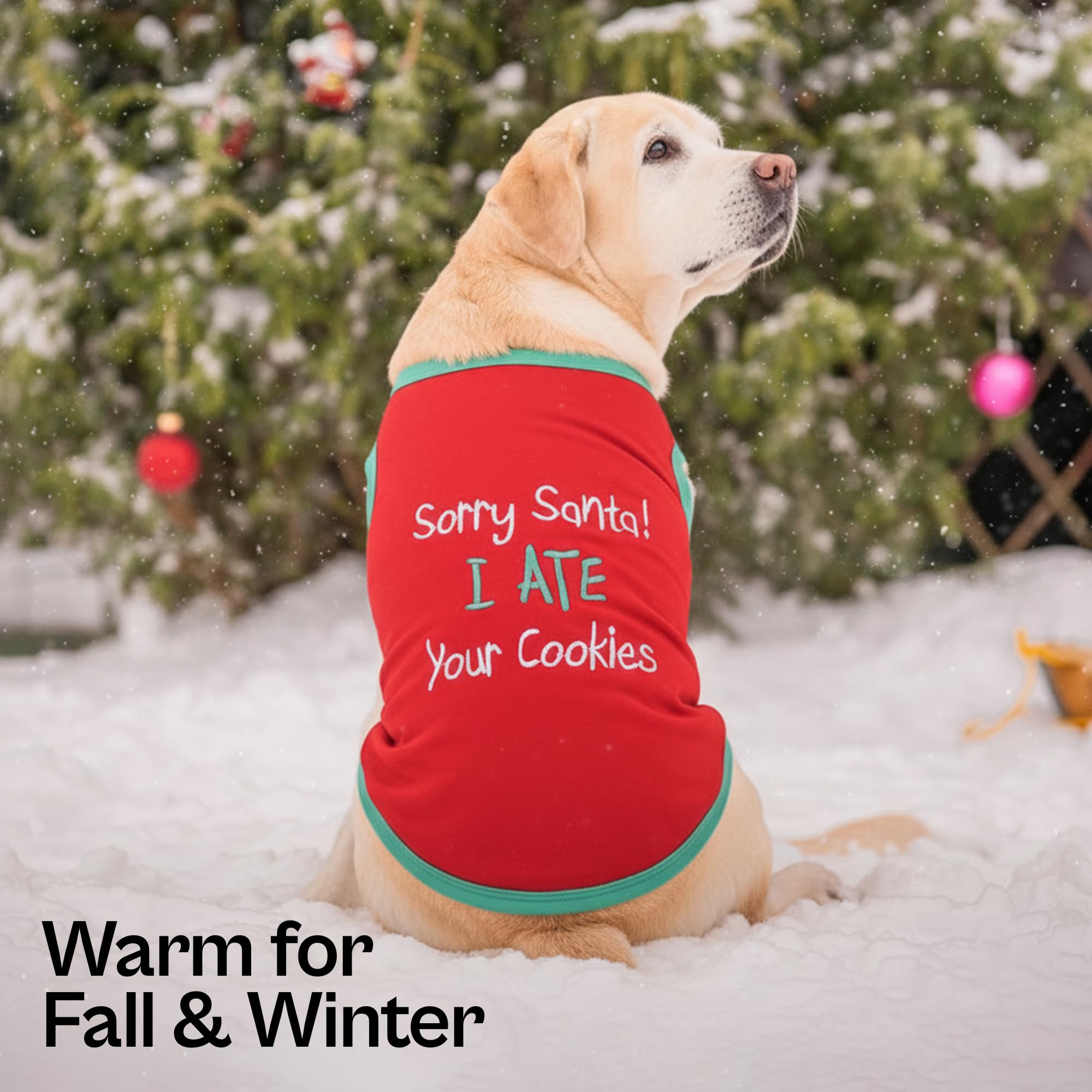 Parisian Pet embroidery detail Sorry Santa Cookie highlights festive charm