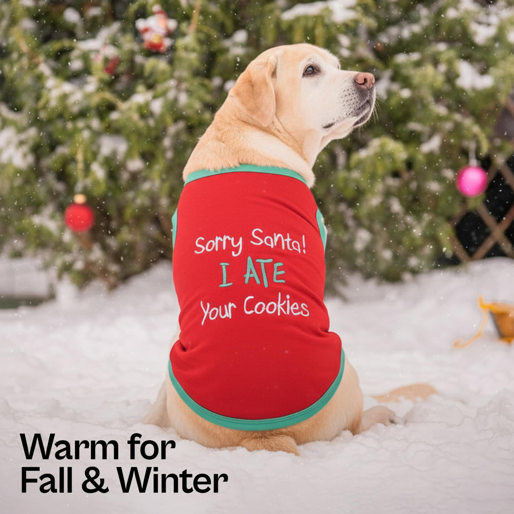 Parisian Pet embroidery detail Sorry Santa Cookie highlights festive charm