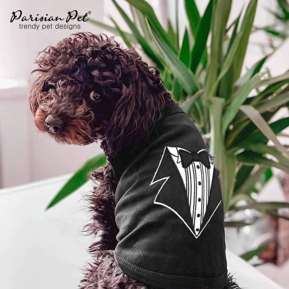 Parisian Pet embroidery on chest showcases stylish tuxedo motif for photoshoots.