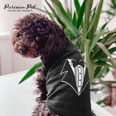 Parisian Pet embroidery on chest showcases stylish tuxedo motif for photoshoots.