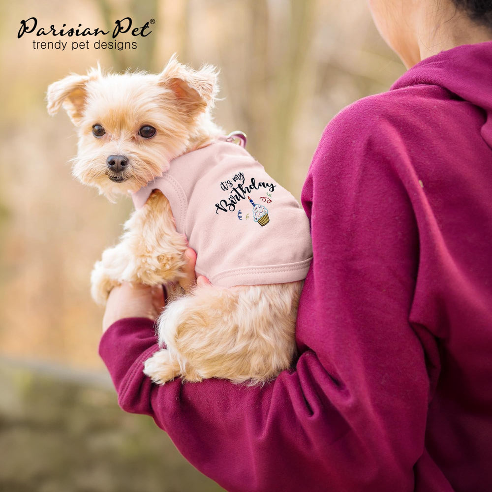 Parisian Pet dog shirt worn at a party for birthday celebrations