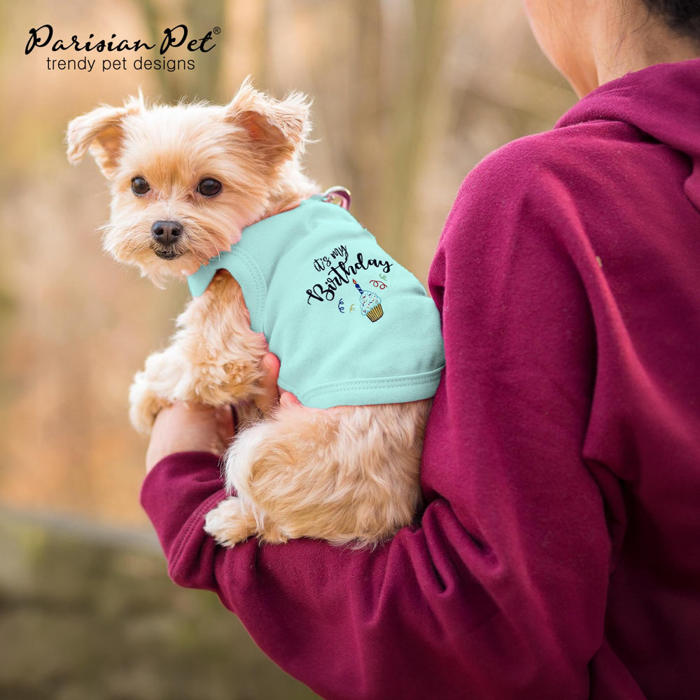 Parisian Pet dog t-shirt worn at a birthday party for celebratory vibes