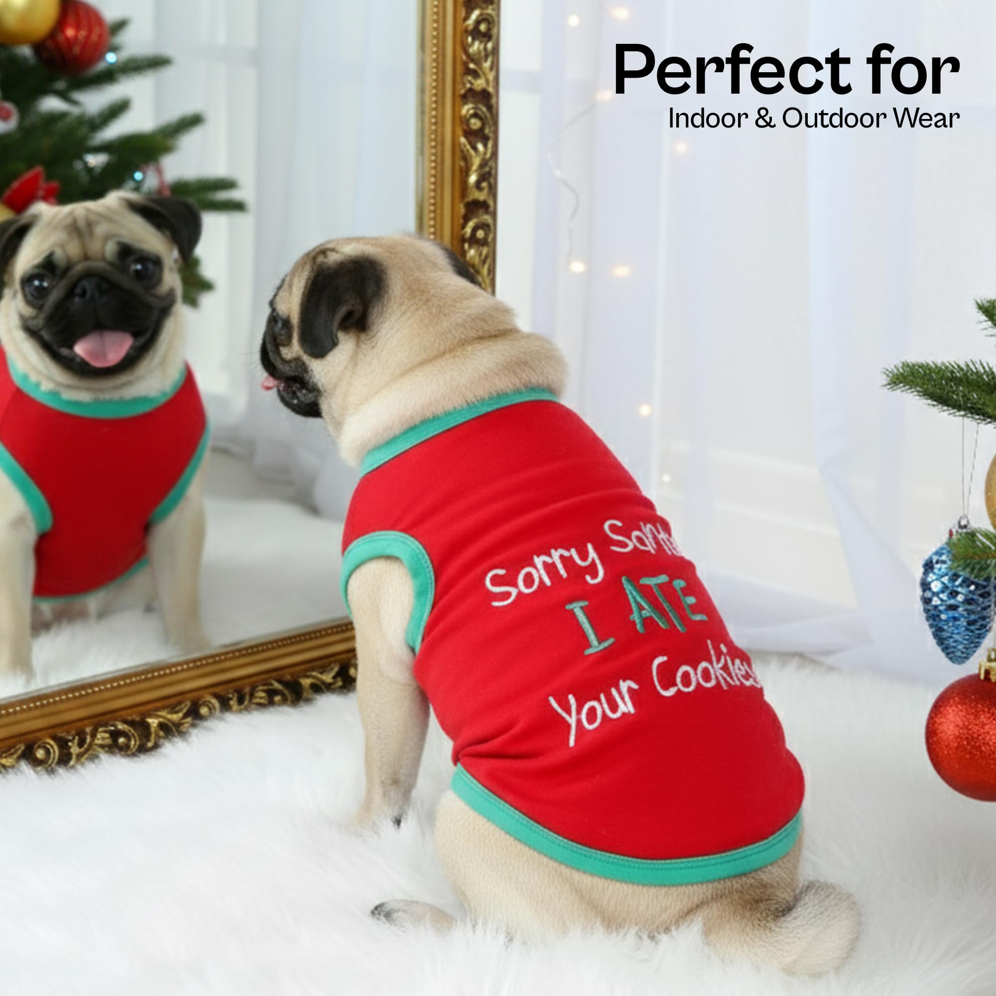 Parisian Pet sleeveless round neckline easy dressing on walks