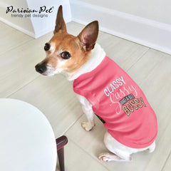 Parisian Pet dog t-shirt wide sizing XXS to 5XL for all breeds
