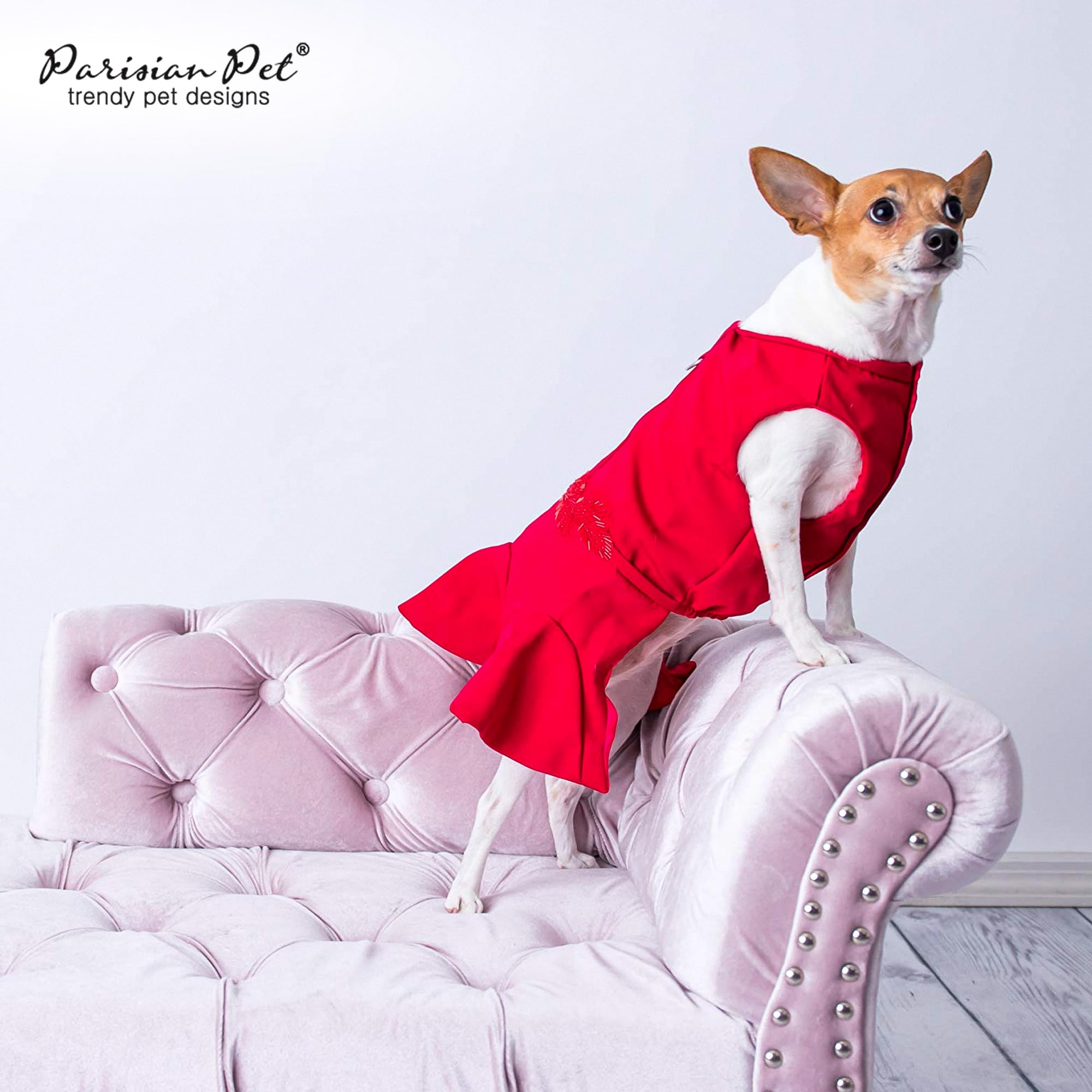Parisian Pet dog wedding outfit worn on a dog