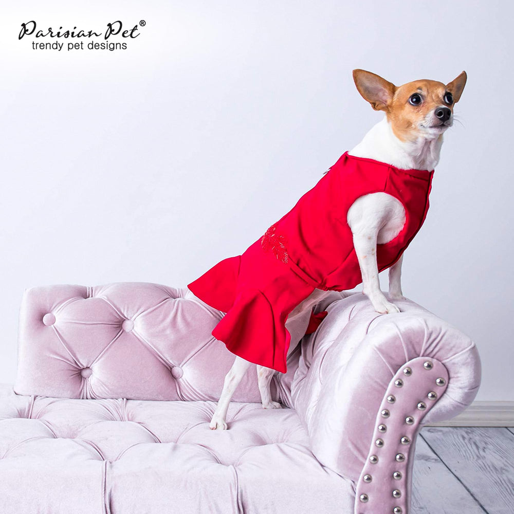 Parisian Pet dog wedding outfit worn on a dog