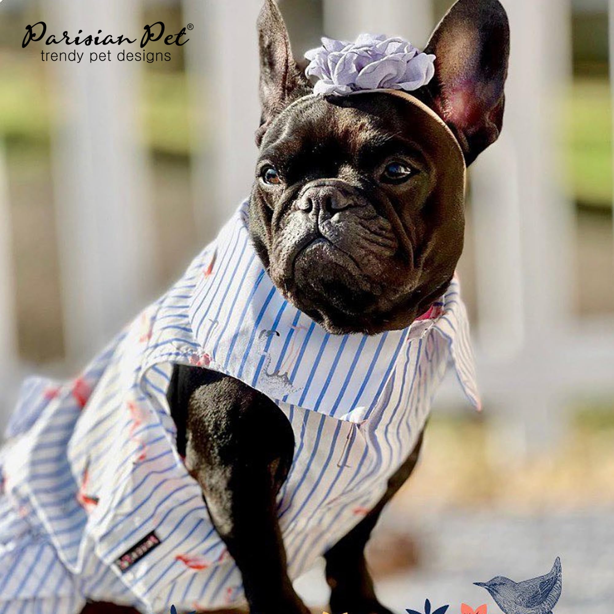 Parisian Pet Dress on a dog during playtime demonstrates easy wearability