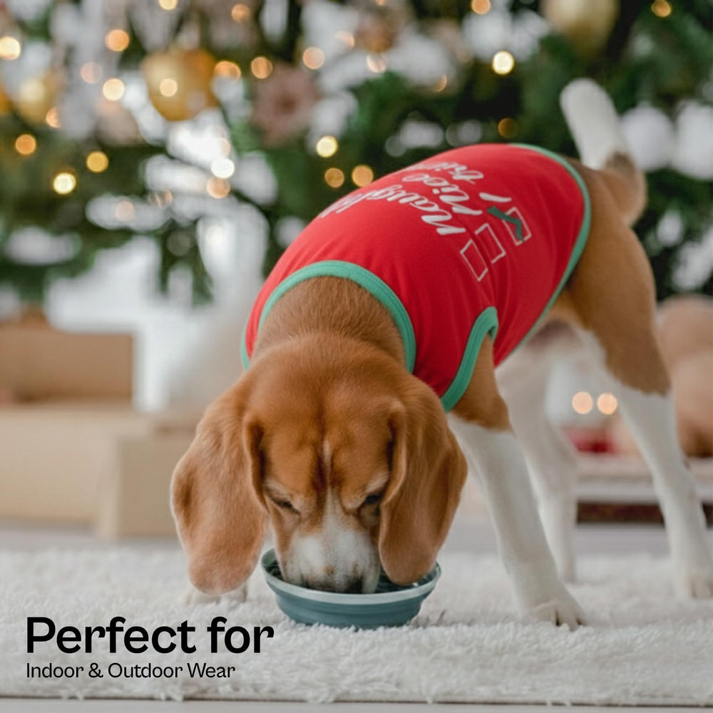 Parisian Pet embroidered christmas shirt on dog model conveys festive style for holidays.