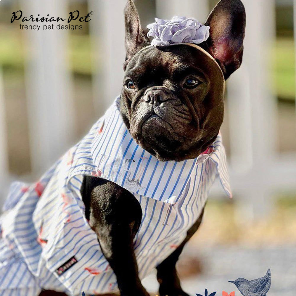 Parisian Pet Flamingo Dress on the beach ready look for sunny adventures