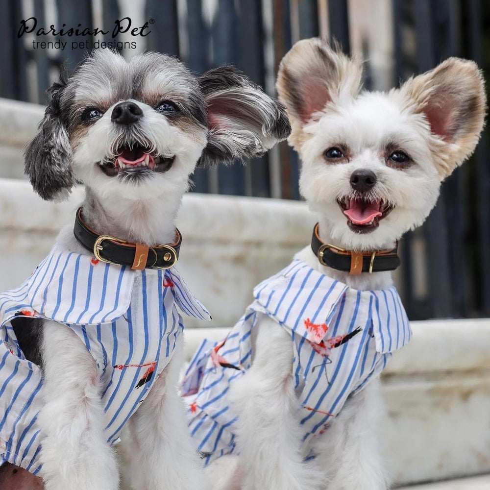 Parisian Pet Flamingo Dress strap closure demonstrates easy dressing in seconds