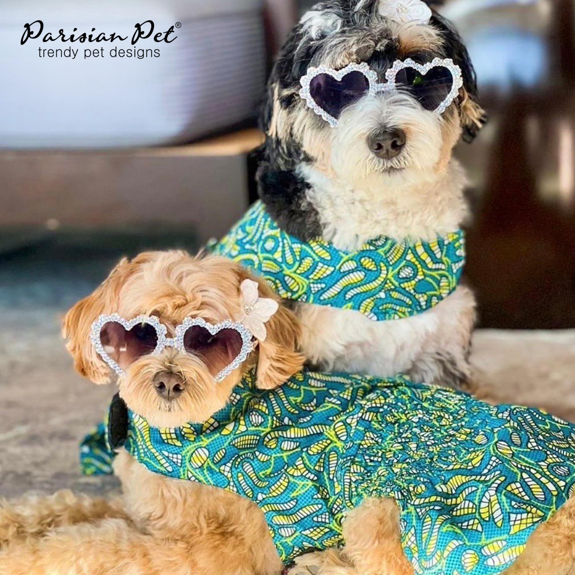 Parisian Pet front Velcro closure dress enabling quick dressing
