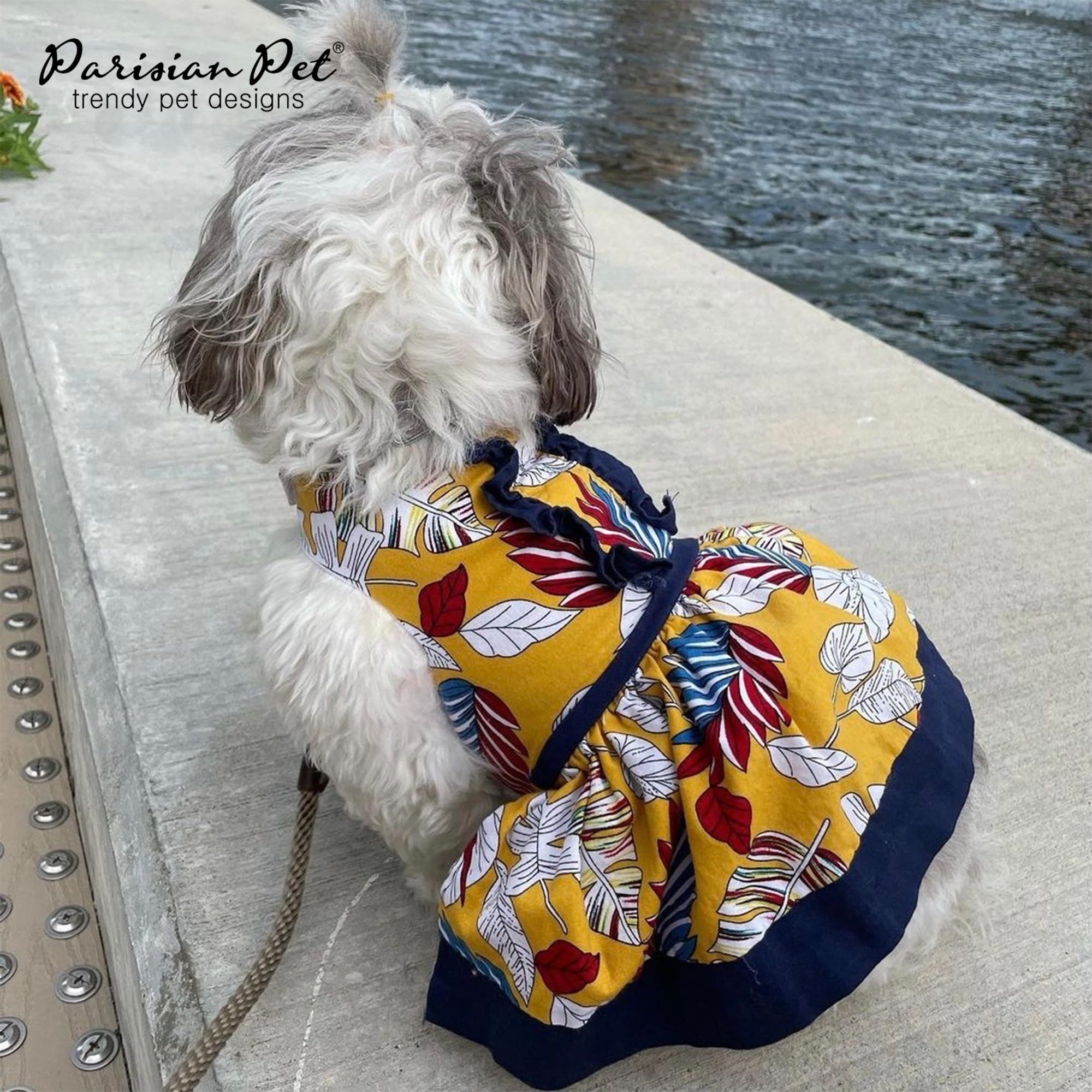 Parisian Pet front Velcro closure dish illustrates easy dressing