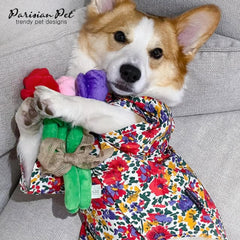 Parisian Pet front Velcro closure dress illustrates convenient dressing for busy days.