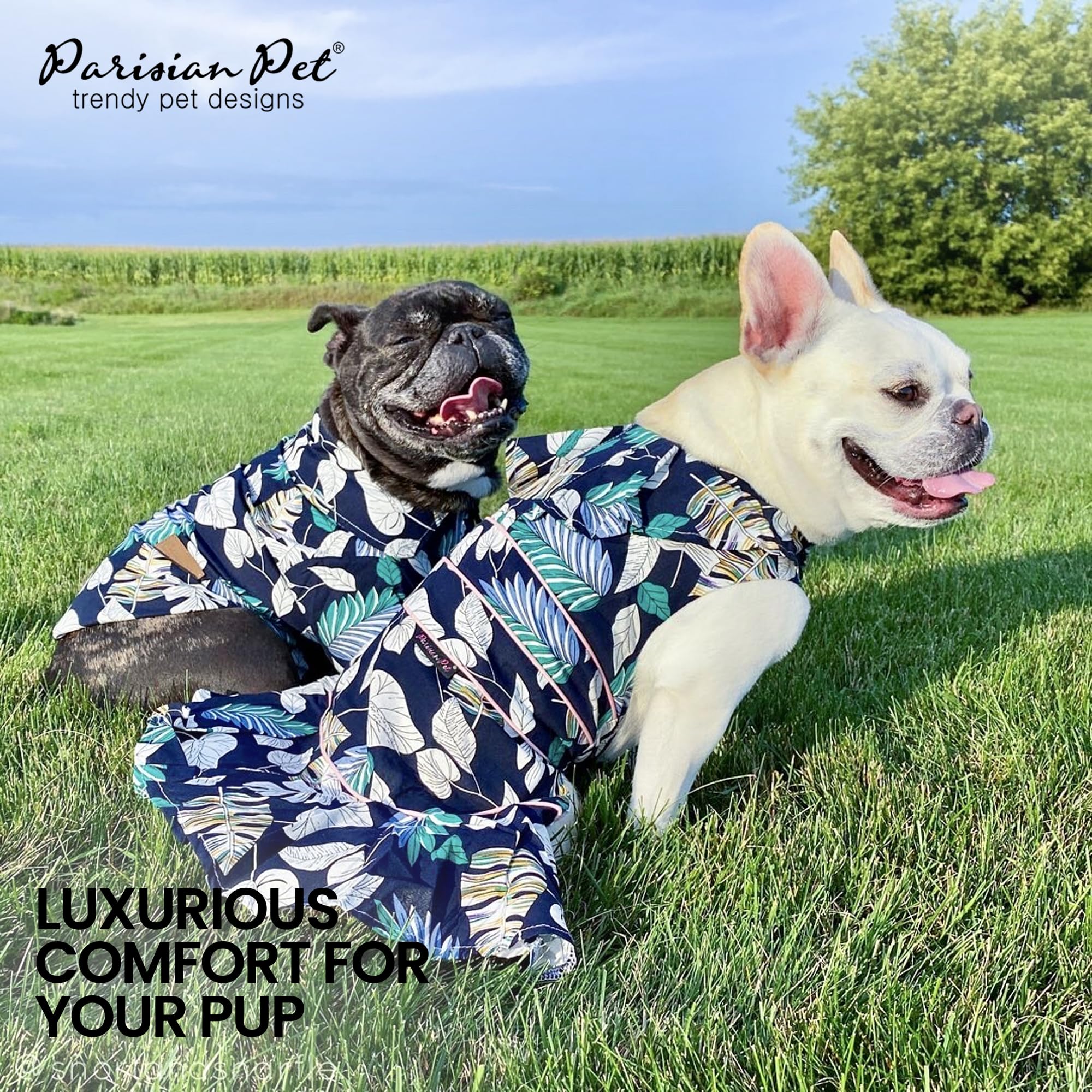 Parisian Pet palm leaves dress velcro closure enables easy on off