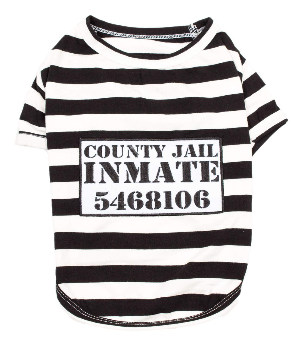Parisian Pet Prisoner costume in holiday photo setup for festive looks