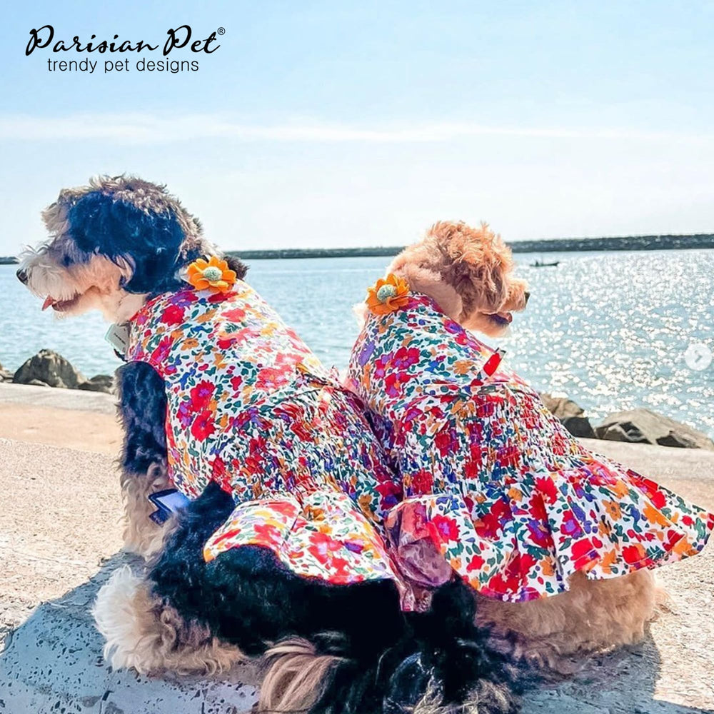 Parisian Pet size chart reference image communicates inclusive XS-3XL options.