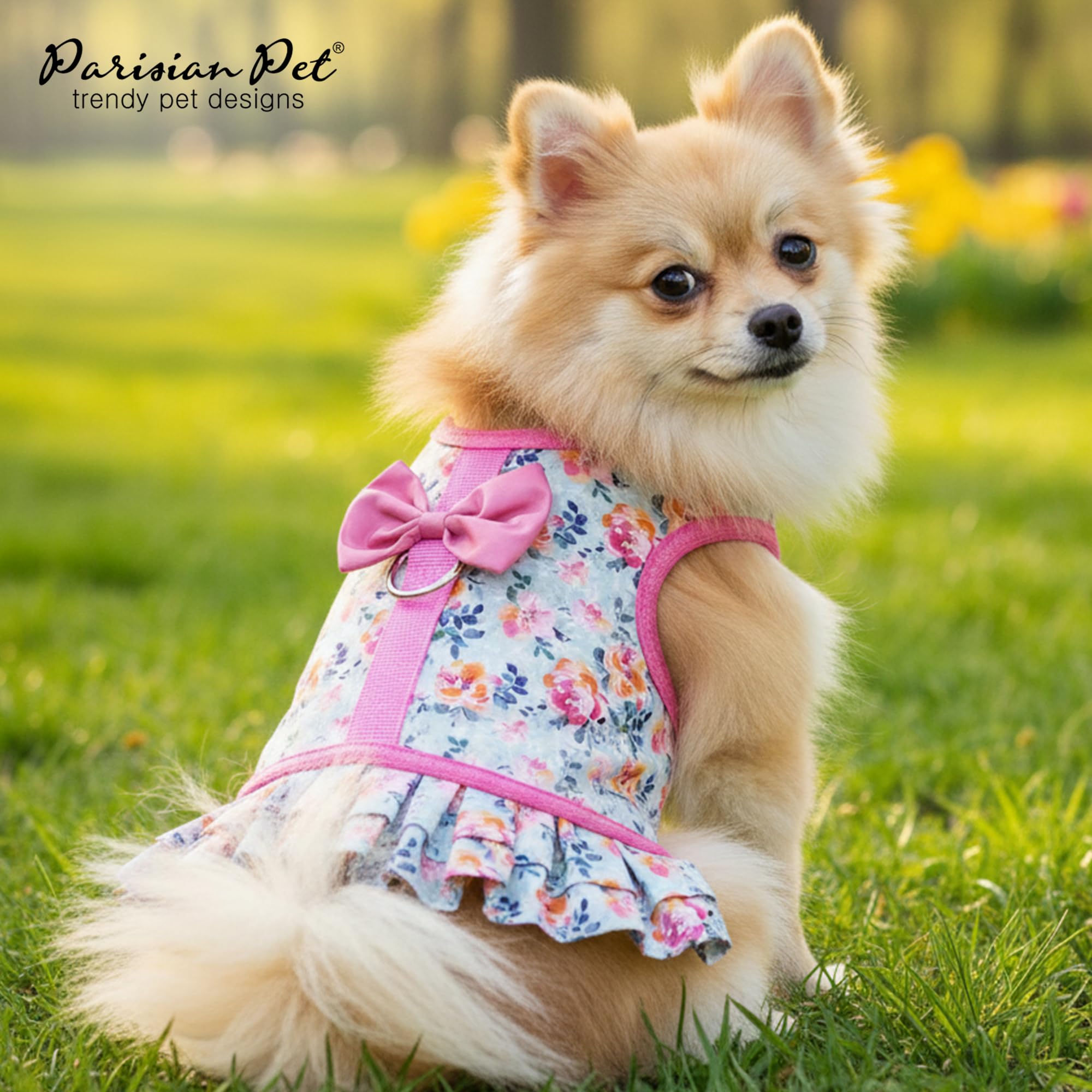 Parisian Pet Spring Blossoms Harness Dress on dog-walk demonstrates everyday wearability.