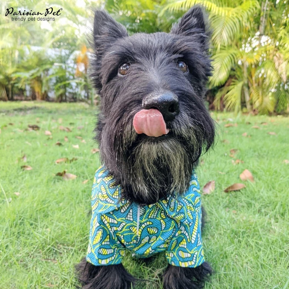 Parisian Pet summer luau-inspired outfit for dogs at a party