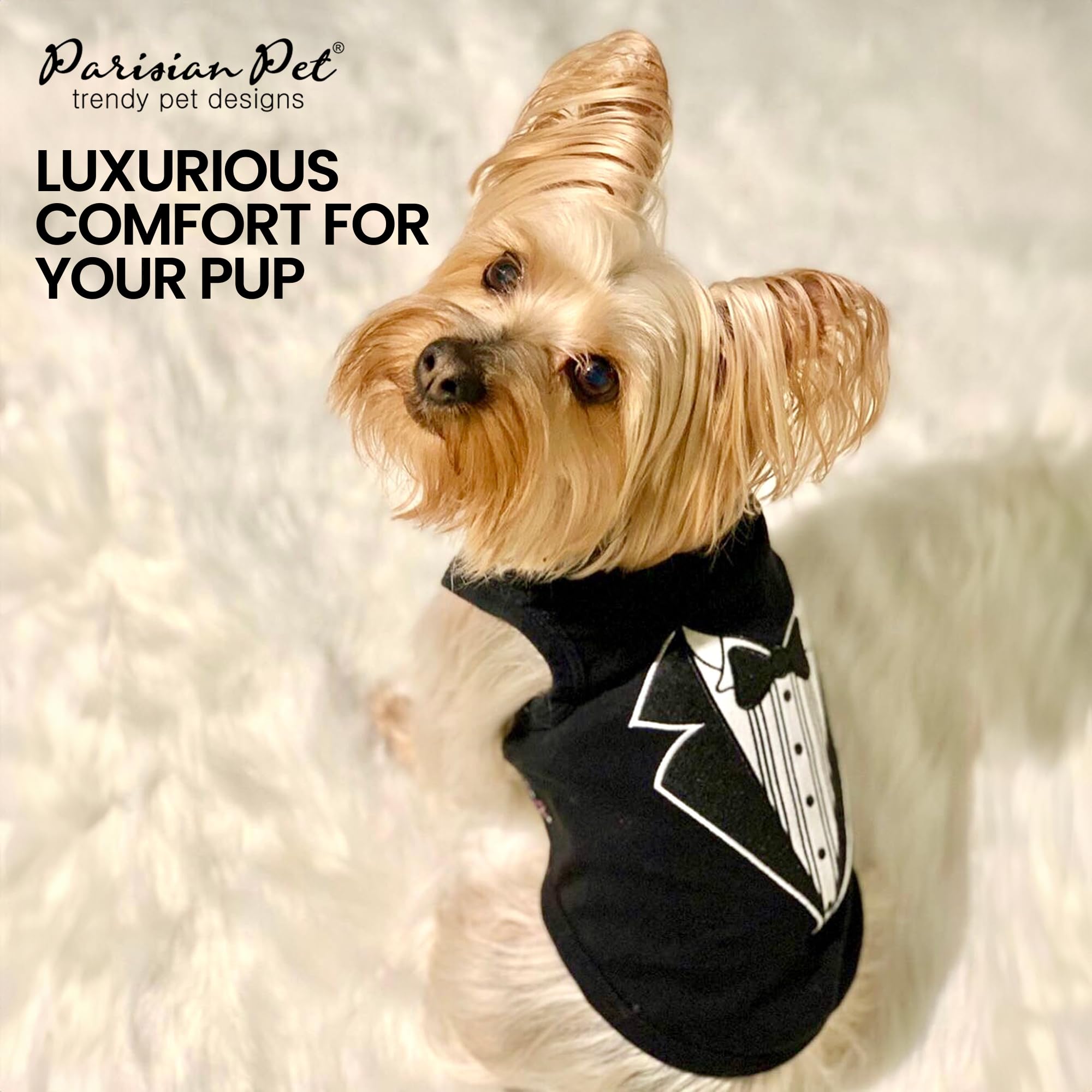 Parisian Pet tuxedo-tshirt worn by small-dog model demonstrates easy slip-on fit.