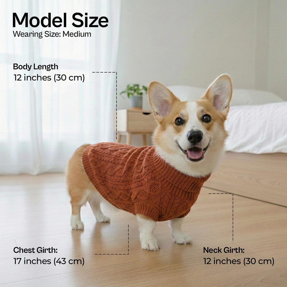 Parisian Pet cable knit terracotta sweater on dog for stylish fall wear.