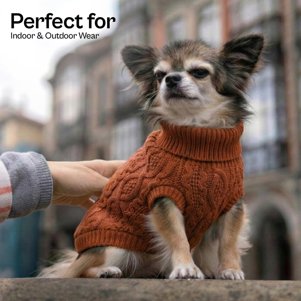 Parisian Pet warmth-detail knit emphasizes plush texture and elegant design.