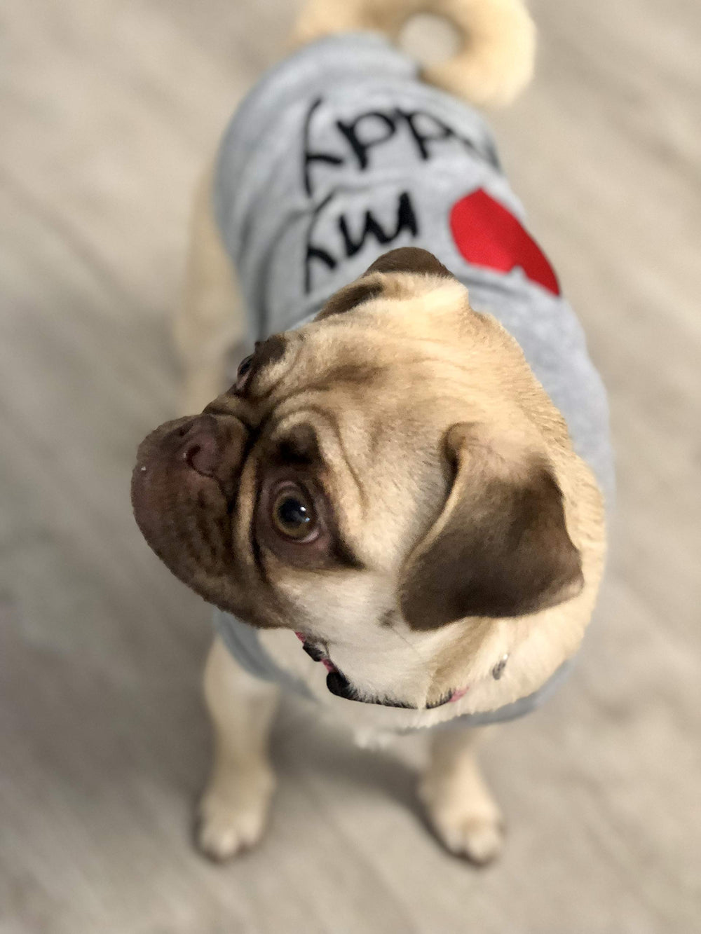 Parisian Pet washable cotton dog shirt remains vibrant after washing and daily wear