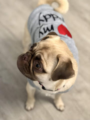 Parisian Pet washable cotton dog shirt remains vibrant after washing and daily wear