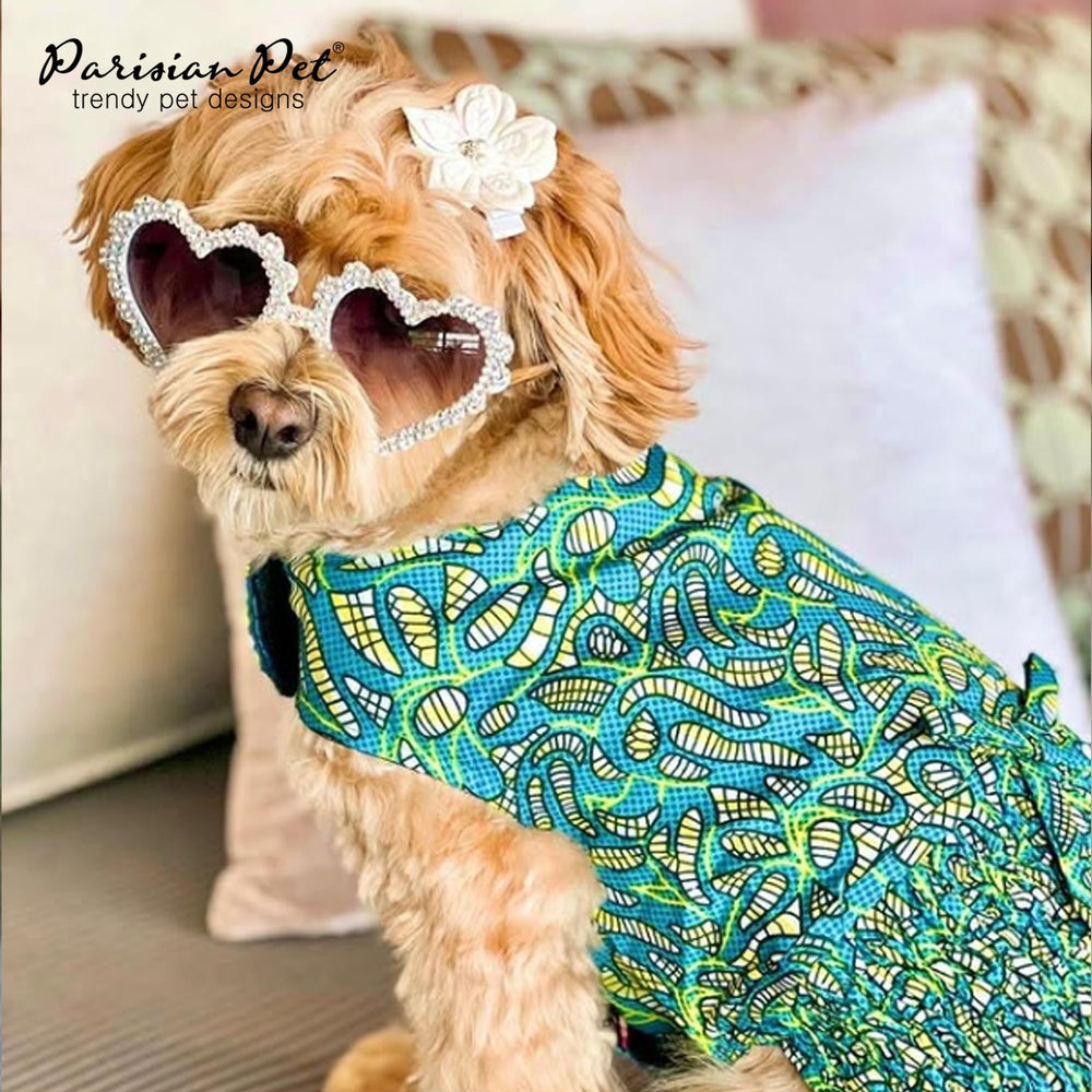 Parisian Pet washable dress demonstrated for simple maintenance
