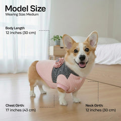 Parisian Pet windproof fabric protects small breezes during chilly walks