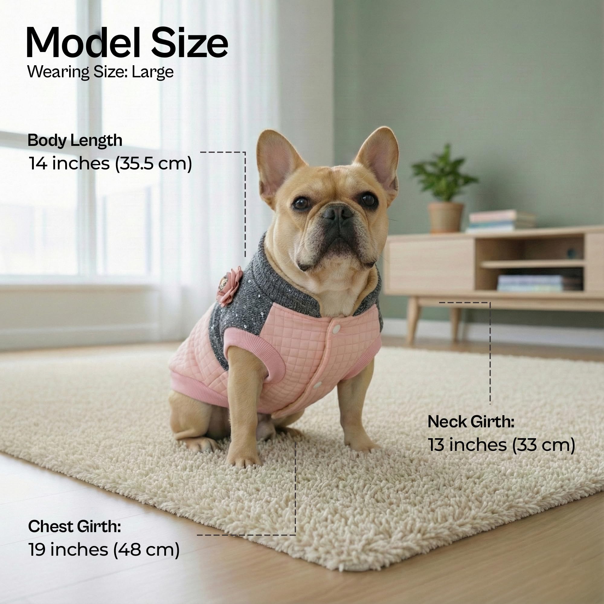 Parisian Pet windproof dog coat front view highlights breezy-day protection.