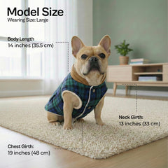 Parisian Pet windproof coat on a dog during breezy park stroll