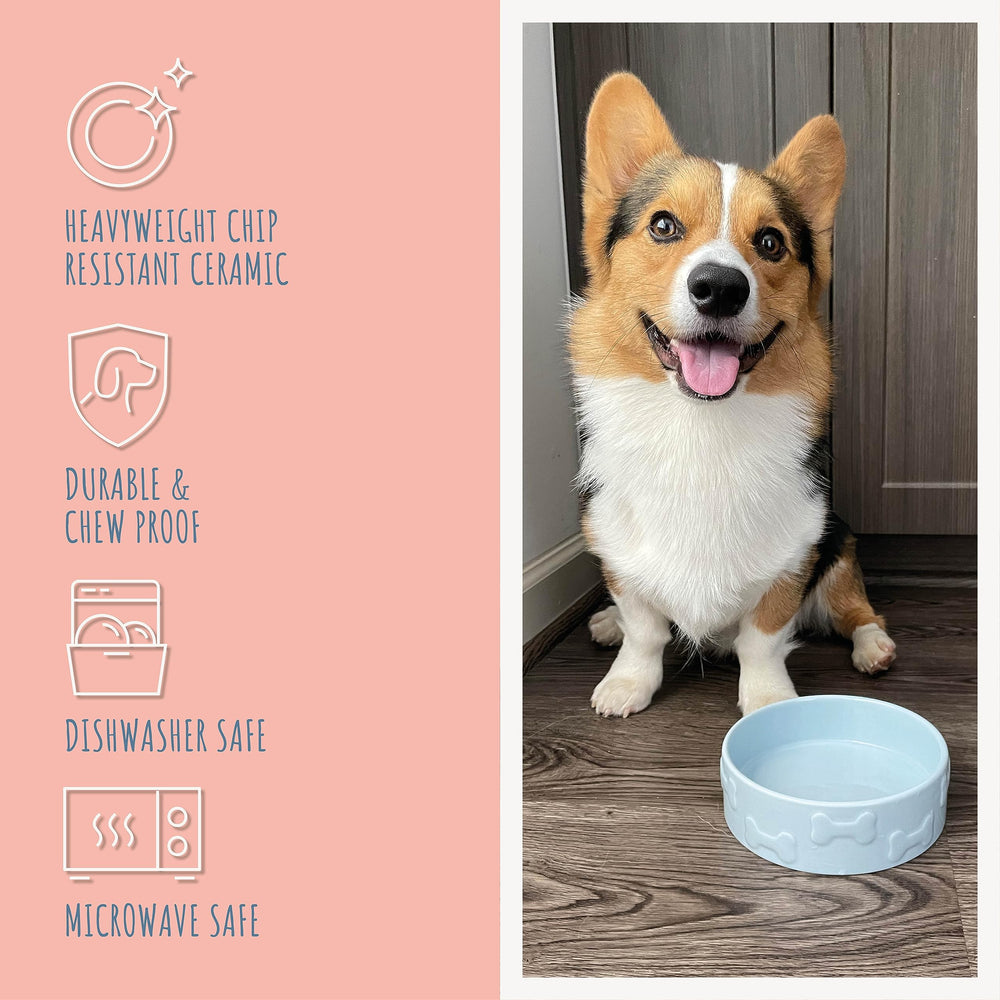 Park Life Designs Pet Bowl Manor Azure non-slip base keeps meals in place during lively feeds.