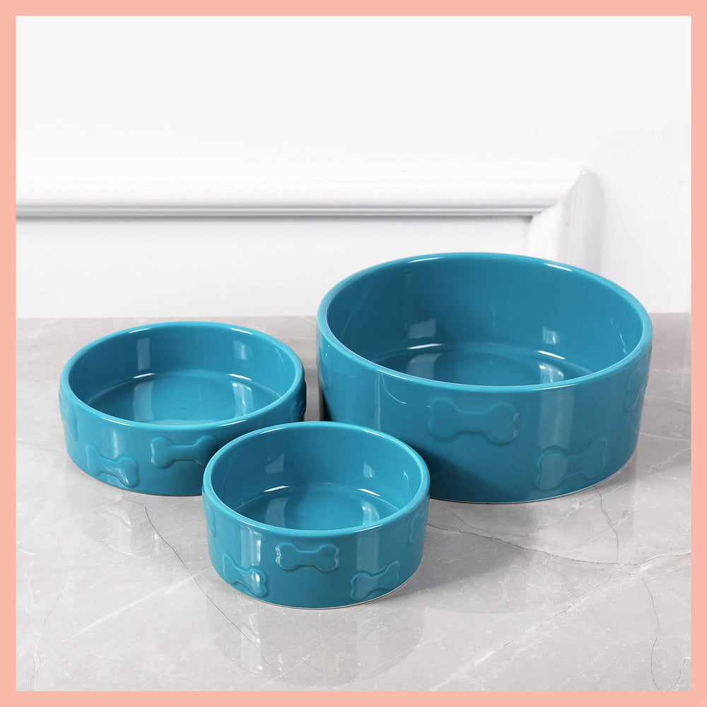 Park Life Designs Pet Bowl Manor Azure vibrant-visual design adds style to mealtime rituals.