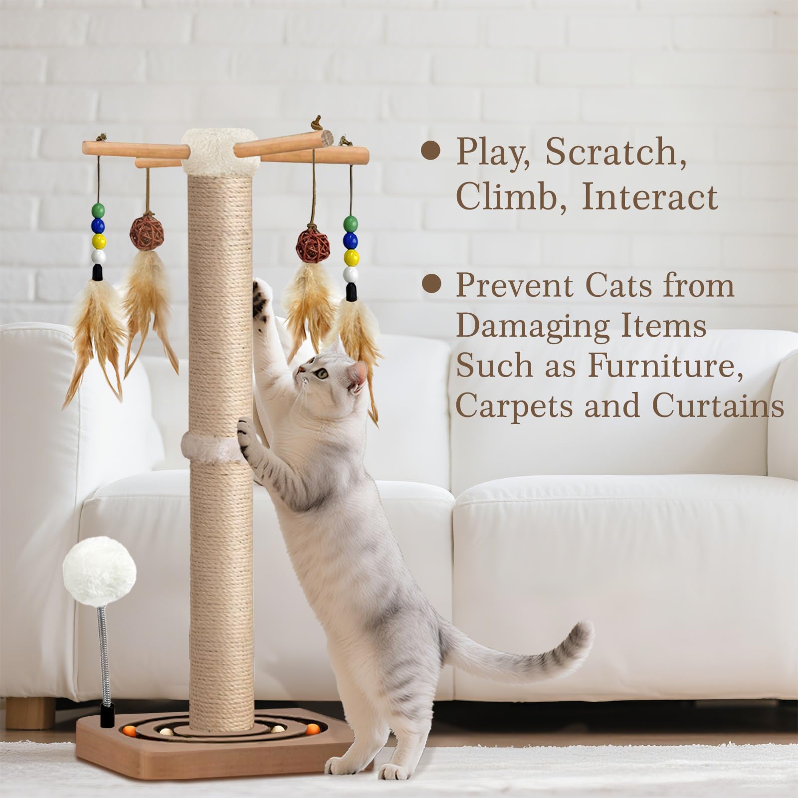 PAROTO ball track feature offers chase and mental stimulation during playtime.