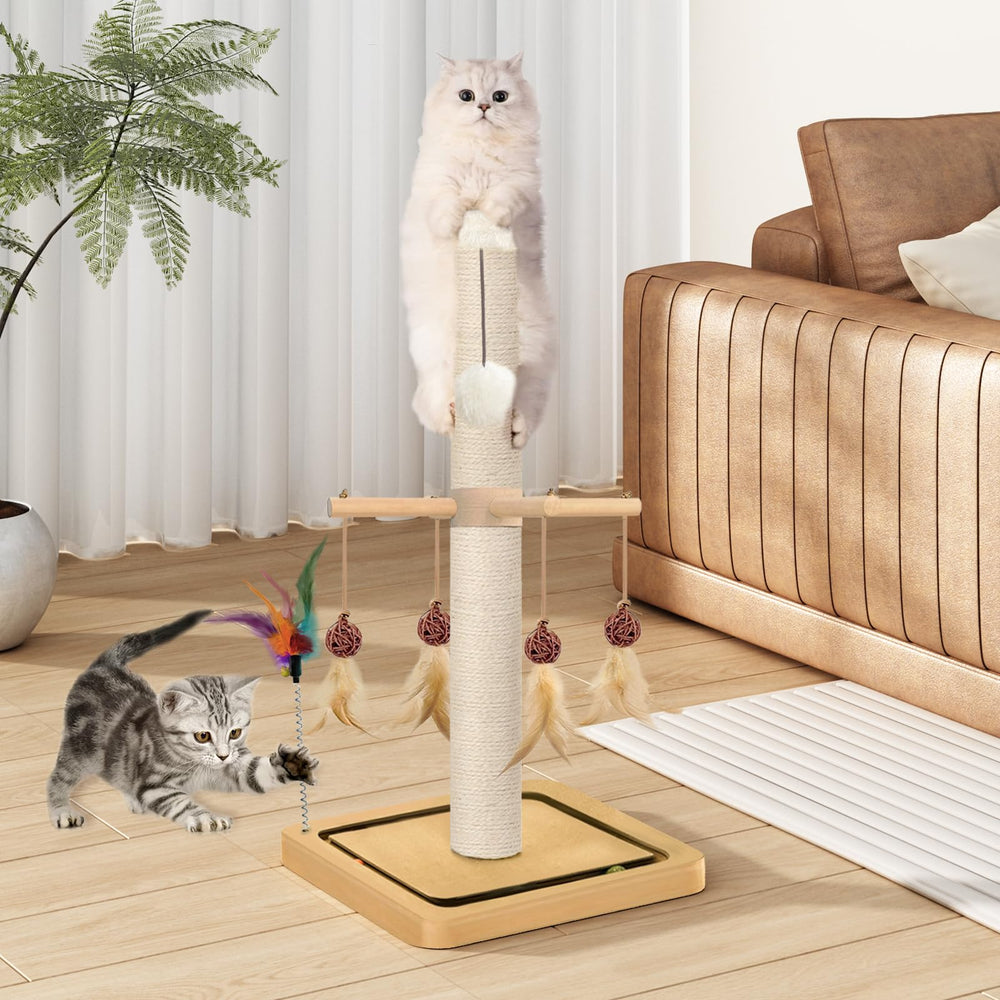 PAROTO spring-loaded feather toy adds interactive fun.