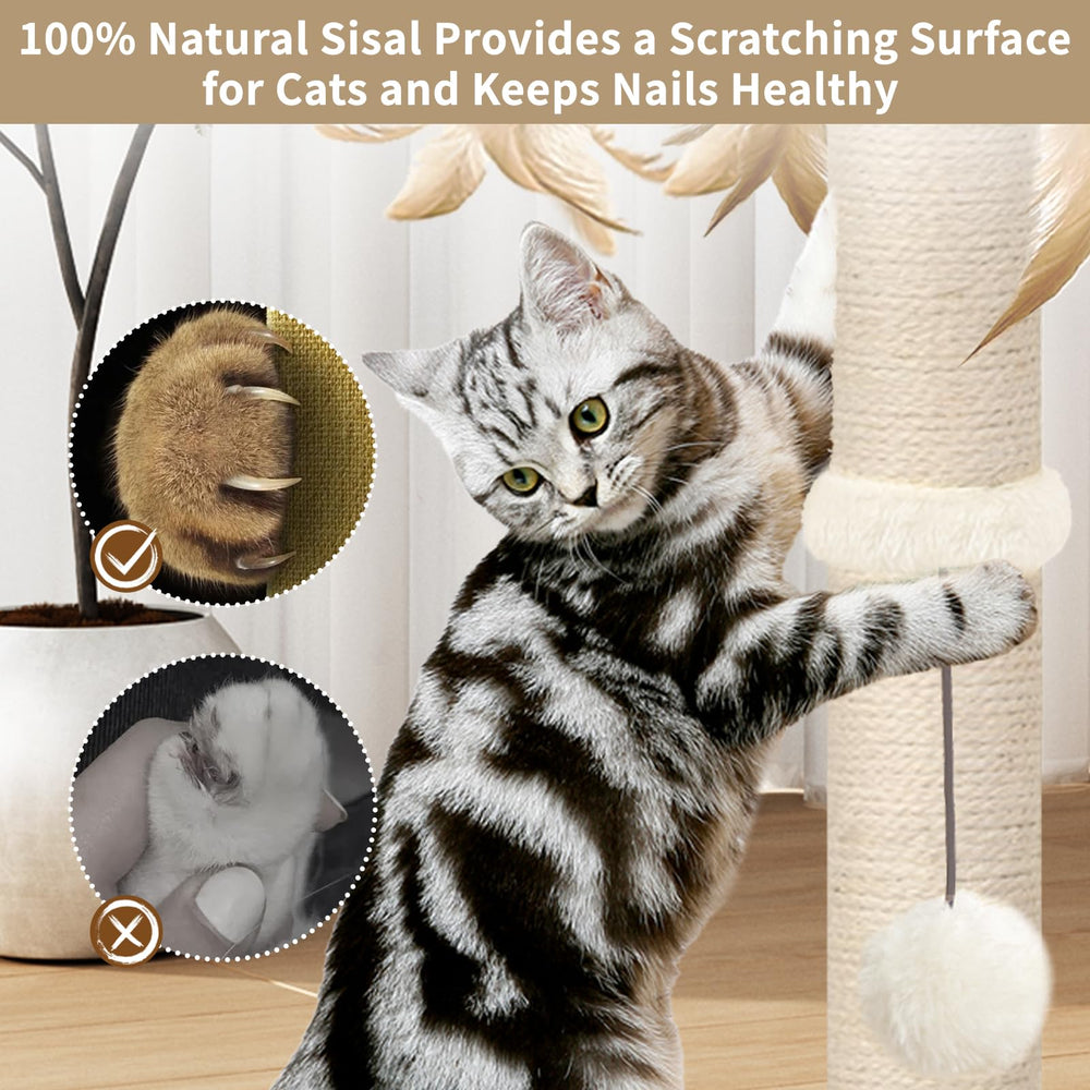 PAROTO natural sisal scratching surface promotes healthy claws.