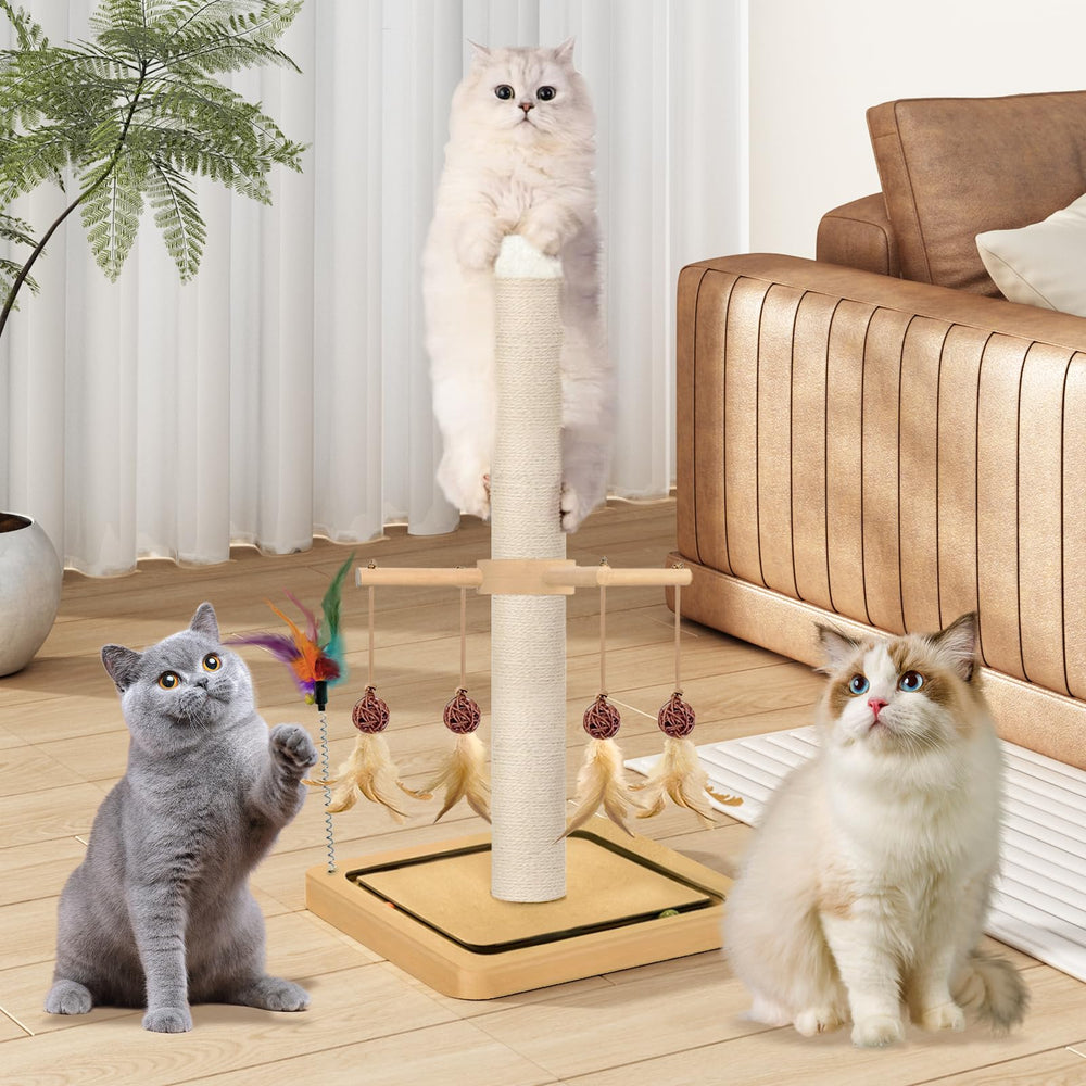 PAROTO indoor cat furniture helps keep nails clean and cats entertained.