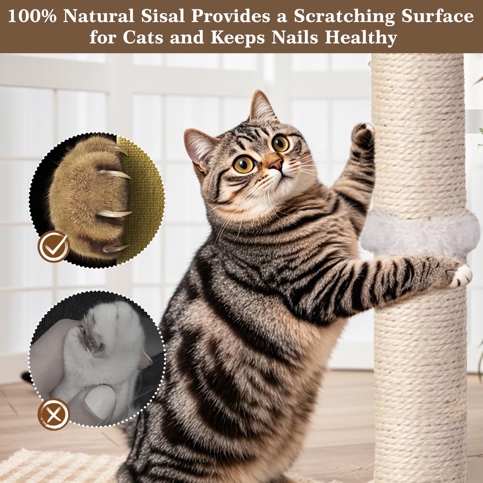 PAROTO Two mounting methods image demonstrates versatile installation options.